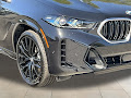 2025 BMW X6