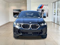 2025 BMW X6