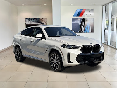 2025 BMW X6