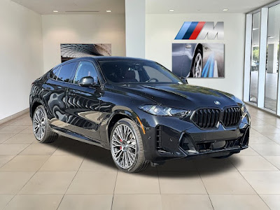 2025 BMW X6