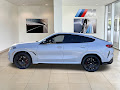 2025 BMW X6