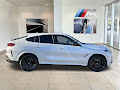 2025 BMW X6