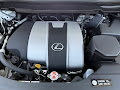 2019 Lexus RX 350L